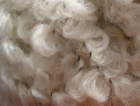 Irene & Mr.Sheep Knitting Shop