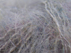 Kid Mohair