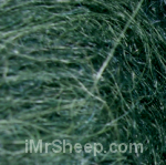 HALO, Brushed Suri Alpaca, 7381 Ivy (Evergreen)