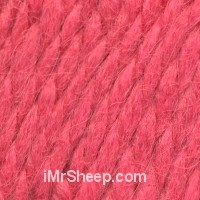 Snuggle, Alpaca Yanr