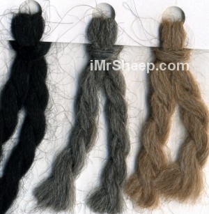 Snuggle, Alpaca yarn