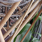 Clover Takumi Circular Needles