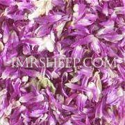 DYE HERBS at Irene & Mr. Sheep: Amaranth Petals
