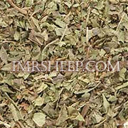 DYE HERBS at Irene & Mr. Sheep: Blackberry Leaves