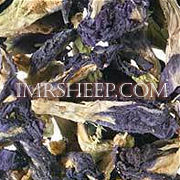 DYE HERBS at Irene & Mr. Sheep: Blue Pea Flowers