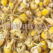 DYE HERBS at Irene & Mr. Sheep: Chamomile Flowers