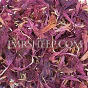DYE HERBS at Irene & Mr. Sheep: RED Cornflower Petals