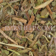 DYE HERBS at Irene & Mr. Sheep: Dandelion Leaves
