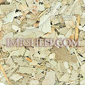 DYE HERBS at Irene & Mr. Sheep: Eucalyptus Leaves