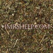 DYE HERBS at Irene & Mr. Sheep: Hawthorn Leaves