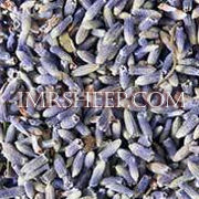 DYE HERBS at Irene & Mr. Sheep: Lavender Super Blue