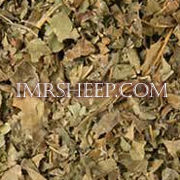 DYE HERBS at Irene & Mr. Sheep: Lemon Verbena Leaves