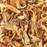 DYE HERBS at Irene & Mr. Sheep: Lily Petals
