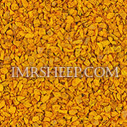 DYE HERBS at Irene & Mr. Sheep: Turmeric Root