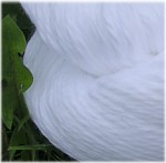 Cloud Cotton