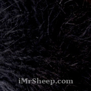 KATIA 100% ANGIORA [100% French Angora], 02 Black