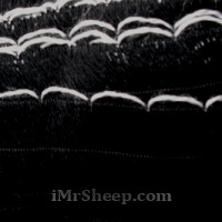 KATIA RONDA 98% Acrylic, 2% Polyester], Frill Tape, 203 Black with White edge