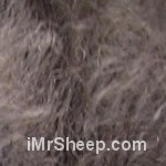 Pep
