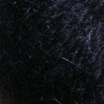 Lang Angora