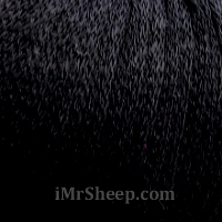 Lang LINO [100%  Linen], 04 Black