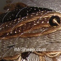 Lang Aura with Sequins