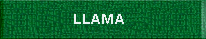 Llama yarn. Toronto, Canada