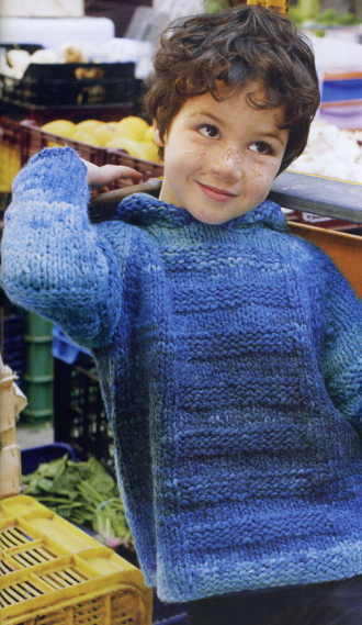 Pull Raye a Capuche