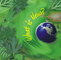 WHAT IS NEW? New items in our stock: yarns, magazines, books, knitwear, gifts, needles, notions, fashion accessories, etc. Announces, expecting arrivals.