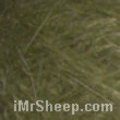 100% Angora