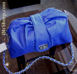 High Fashion Handbag