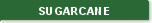100% Sugarcane