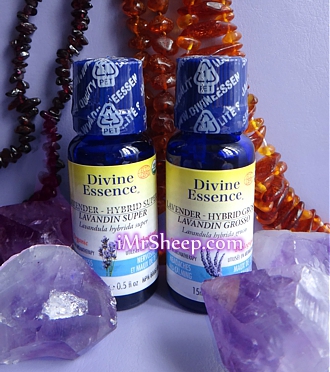 Divine Essence LAVENDER HYBRID SUPER, LAVENDER HYBRID GROSSO, Irene and Mr.Sheep