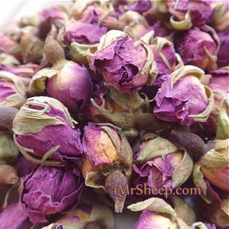 WILD ROSE BUDS, Irene and Mr.Sheep