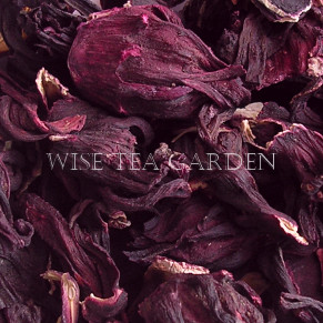 Khartoum Hibiscus